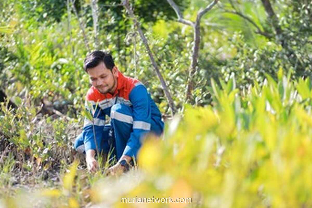 Program Hutan Lestari Pertamina Hidupkan Kembali Ekonomi Warga di Lereng Gunung Agung
