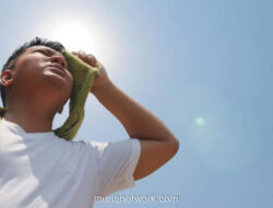 ASEAN Siaga Hadapi Gelombang Panas Lebih Awal, Indonesia-Malaysia Paling Awal Terdampak