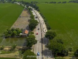 Indramayu Kokoh Sebagai Lumbung Ikan Jawa Barat, Kontribusi Capai 34%