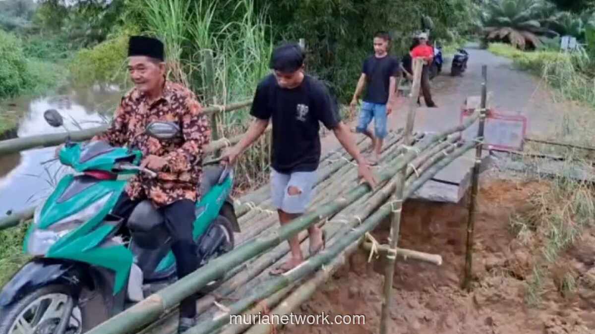 Jembatan Penghubung Ogan Ilir Ambruk, Warga Dirikan Titian Darurat
