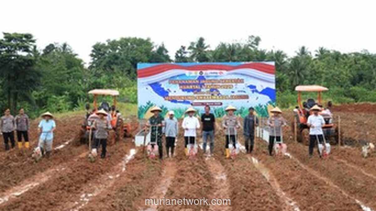 Polda Banten Gelar Penanaman Jagung Serentak, Capai 75% Target Swasembada