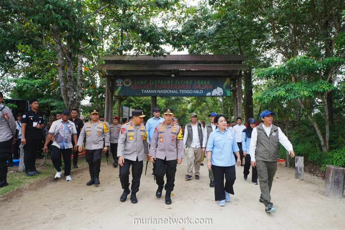 Kapolri dan Ketua Komisi IV DPR Tinjau Rehabilitasi Habitat Gajah Sumatera di Tesso Nilo