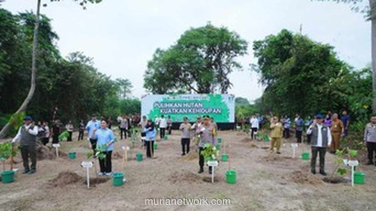Kapolri dan Ketua Komisi IV DPR Tinjau Pelestarian Gajah Sumatera di Tesso Nilo