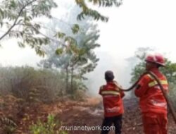 BPBD Kalteng Waspadai Peningkatan Potensi Karhutla pada 2026