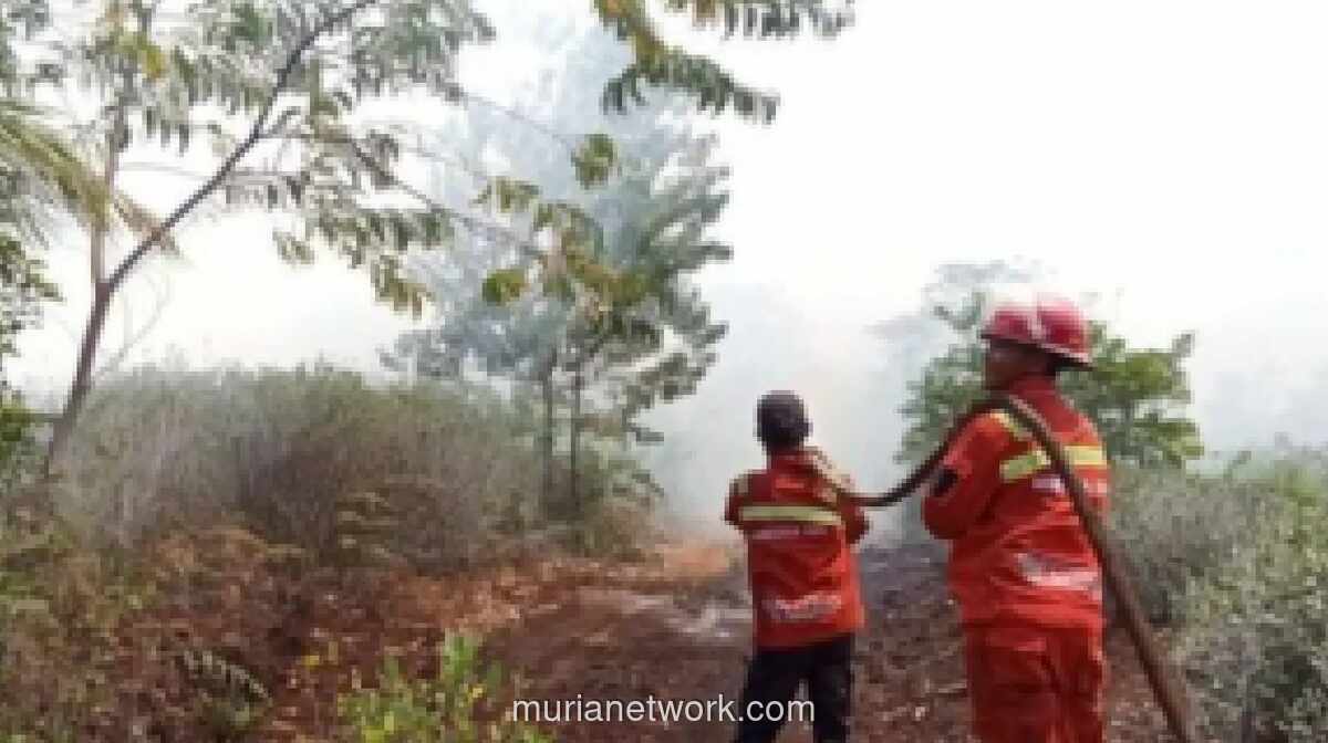 BPBD Kalteng Waspadai Peningkatan Potensi Karhutla pada 2026