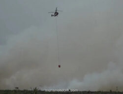 Kebakaran Hutan Riau Hanguskan Lebih dari 2.700 Hektare, Empat Kabupaten Jadi Sorotan