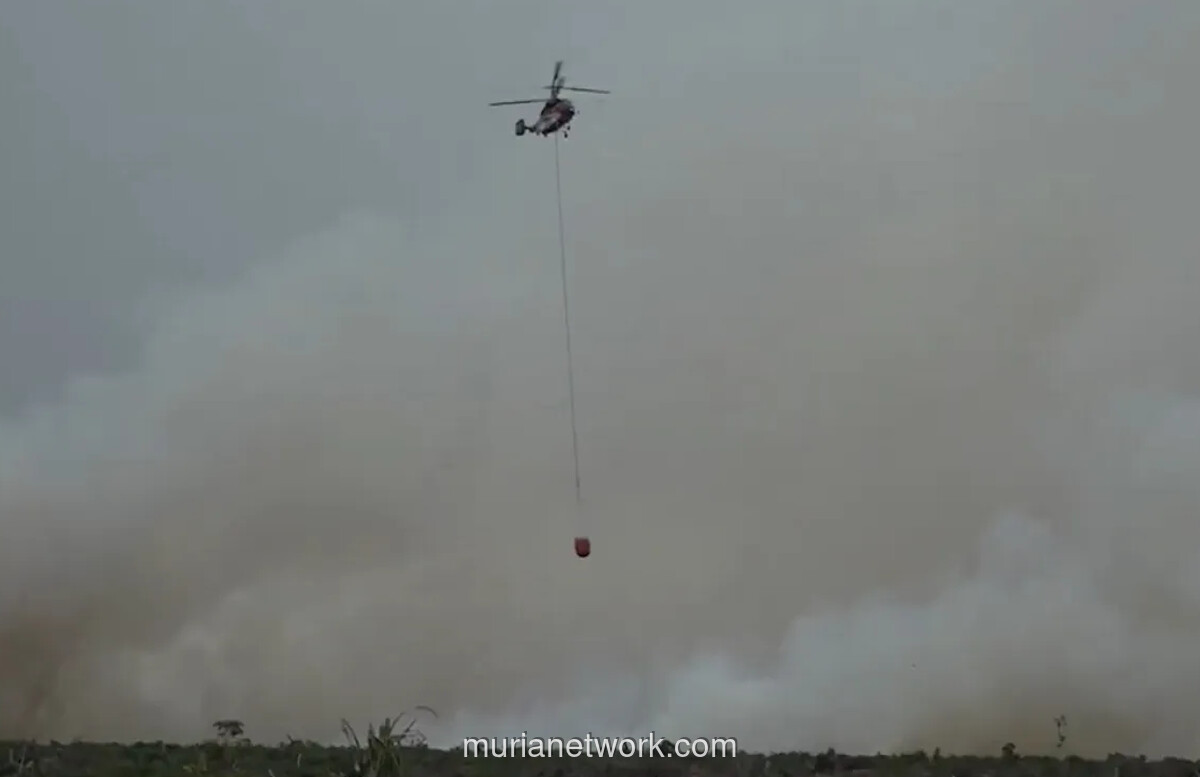 Kebakaran Hutan Riau Hanguskan Lebih dari 2.700 Hektare, Empat Kabupaten Jadi Sorotan