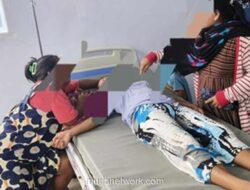 Wakil Ketua Komisi IX DPR Imbau Masyarakat Hindari Konsumsi Daging Anjing Usai Keracunan Massal di Mamuju