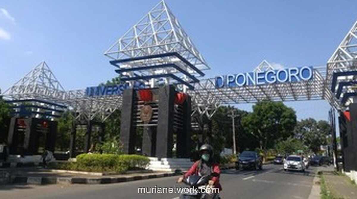 Kasus Pengeroyokan Mahasiswa Undip Naik ke Penyidikan, Pelaku Pakai Nama Alias