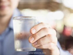 Ahli Ingatkan Bahaya Overhidrasi: Minum Air Berlebihan Bisa Bebani Ginjal