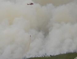 Indonesia Siaga Karhutla, Refleksi 1998: Antara Faktor Alam, Kesalahan Manusia, dan Pelajaran Diplomasi