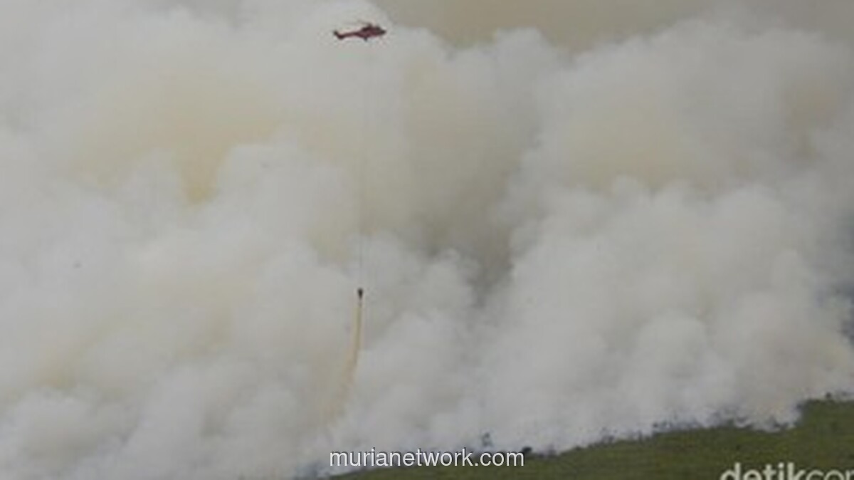 Indonesia Siaga Karhutla, Refleksi 1998: Antara Faktor Alam, Kesalahan Manusia, dan Pelajaran Diplomasi
