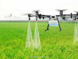 Kementan Gandeng BRIN dan Kampus, Uji Coba Alat Panjat Kelapa hingga Traktor Terapung