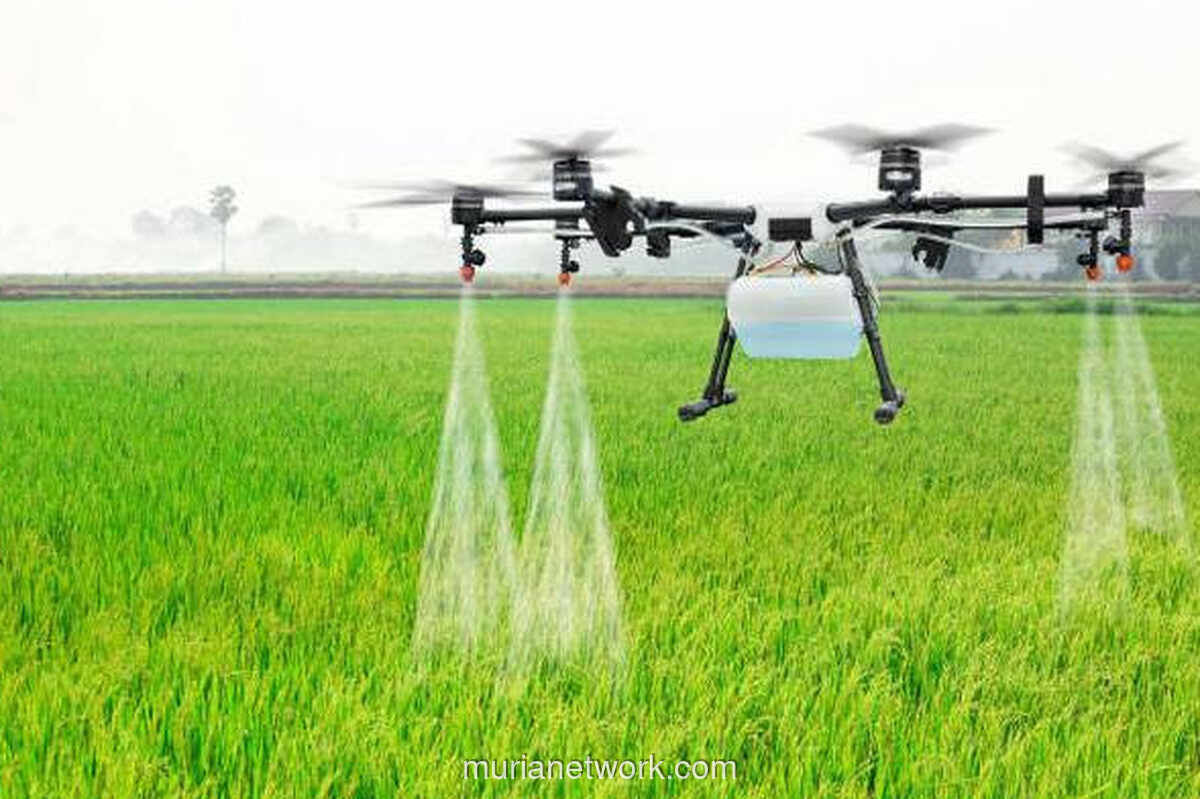 Kementan Gandeng BRIN dan Kampus, Uji Coba Alat Panjat Kelapa hingga Traktor Terapung