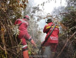 Kementerian Kerahkan Pasukan Darat dan Heli Patroli Antisipasi Karhutla Riau Jelang Mudik