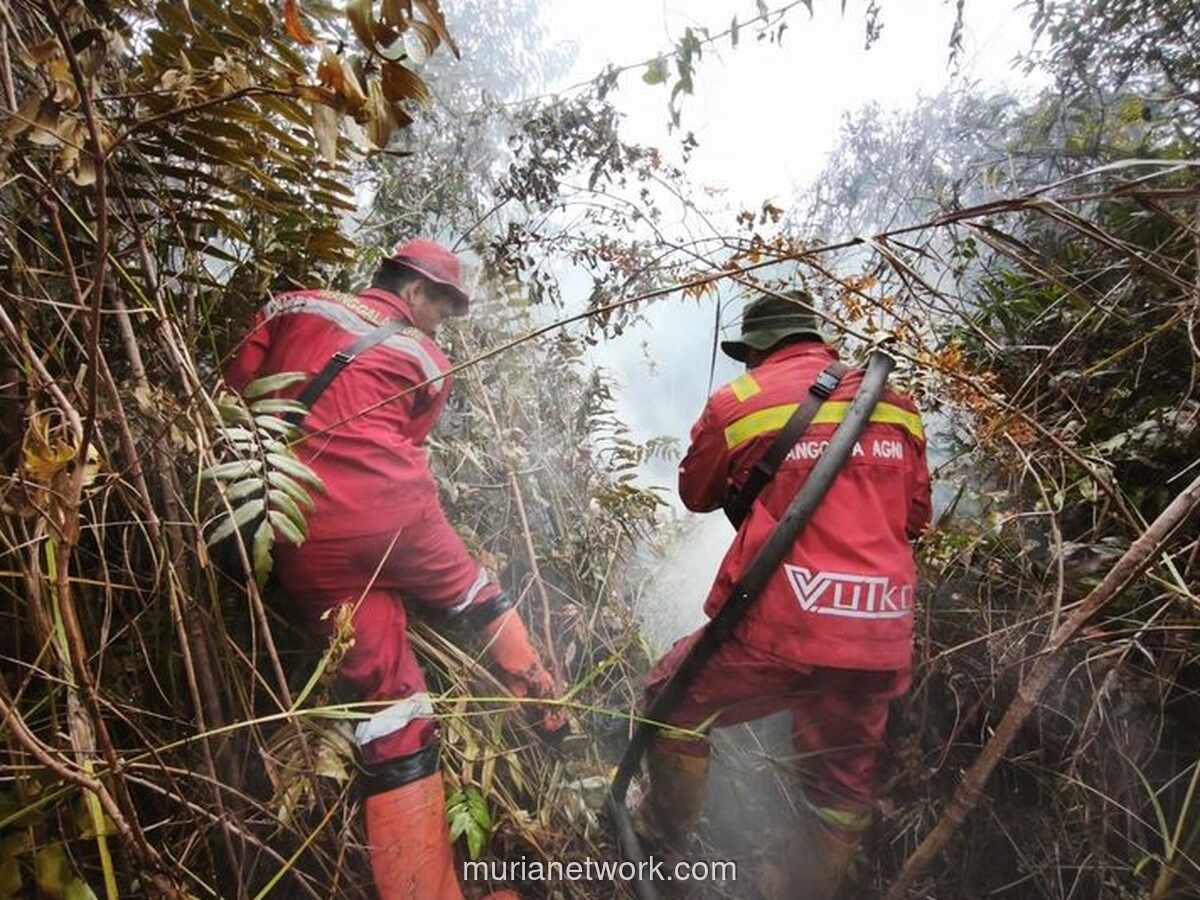 Kementerian Kerahkan Pasukan Darat dan Heli Patroli Antisipasi Karhutla Riau Jelang Mudik