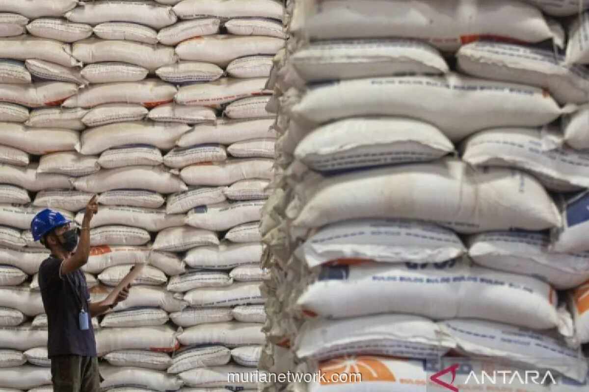 Stok Beras Nasional Diproyeksikan Capai 6 Juta Ton, Kapasitas Gudang Bulog Jadi Tantangan