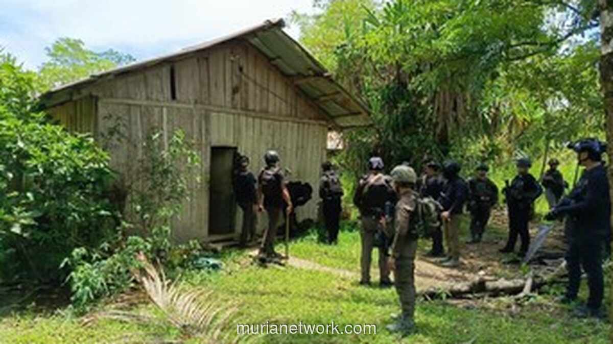 Satgas Cartenz Amankan Komandan KKB dan Sita Puluhan Amunisi di Yahukimo