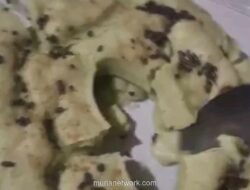 Kue Bolu Bantat untuk Siswa SD Pangkep Kembali Soroti Pengawasan Program Gizi