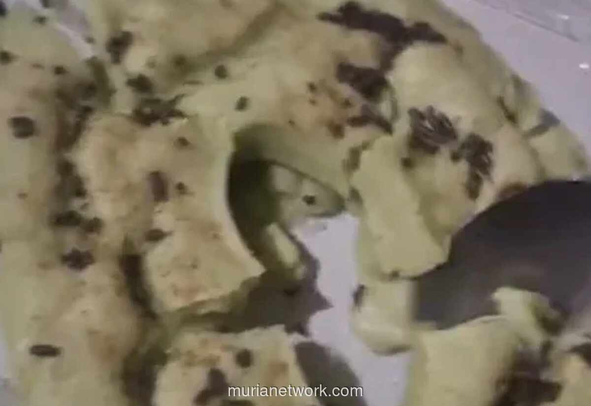 Kue Bolu Bantat untuk Siswa SD Pangkep Kembali Soroti Pengawasan Program Gizi