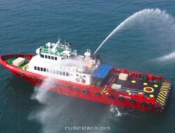 Laba Bersih Newport Marine (BOAT) Melonjak 73% di 2025 Didorong Sektor Sewa Kapal