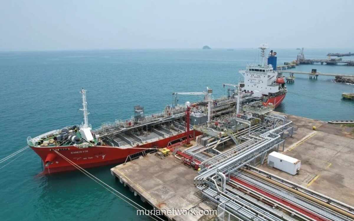 Laba Bersih Chandra Daya Investasi Melonjak 281% Didorong Sektor Logistik