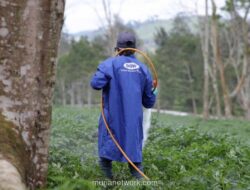 Laba Bersih DGWG Tembus Rp218,85 Miliar di 2025, Didongkrak Pendapatan Rekor