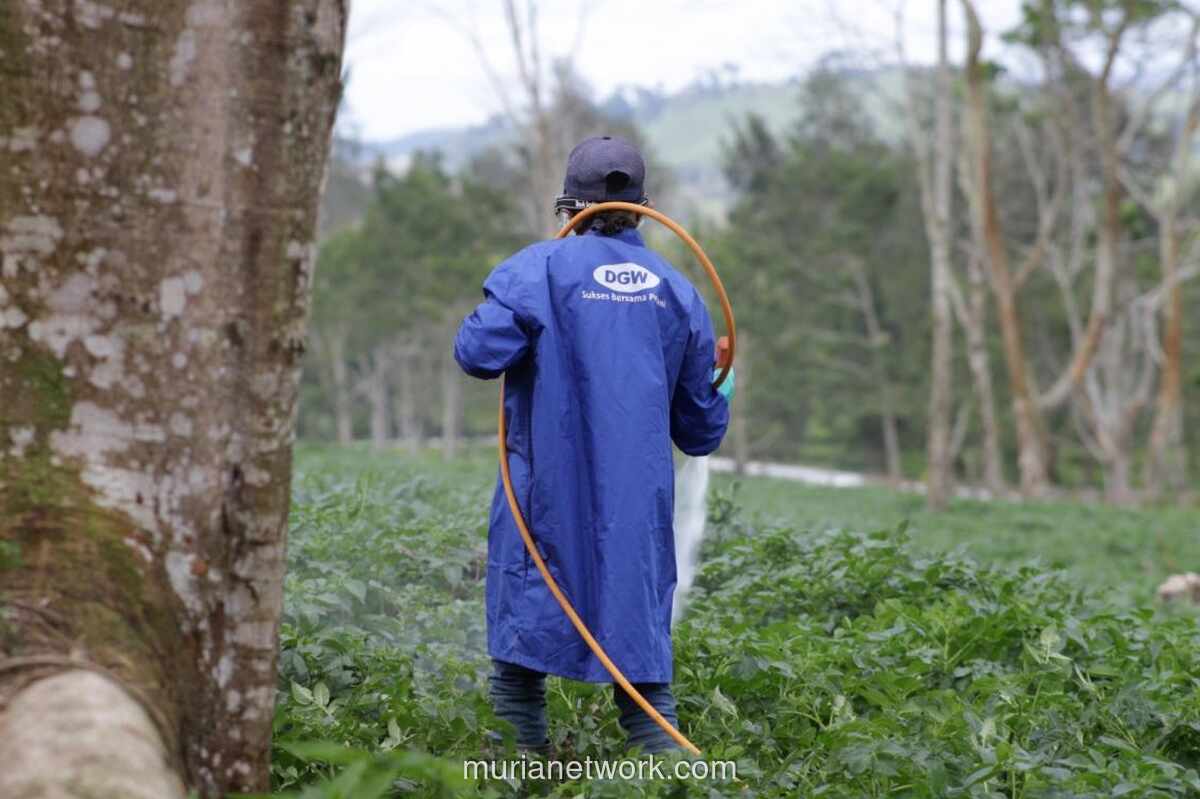 Laba Bersih DGWG Tembus Rp218,85 Miliar di 2025, Didongkrak Pendapatan Rekor