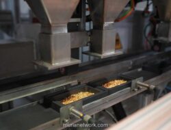 Laba Bersih Amman Mineral Anjlok 60% di Tengah Masa Transisi Operasional