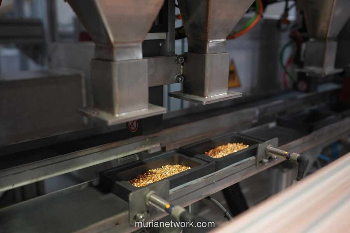 Laba Bersih Amman Mineral Anjlok 60% di Tengah Masa Transisi Operasional