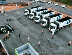 Laba Bersih DSSA Anjlok 33%, Sektor Digital dan Energi Terbarukan Jadi Andalan