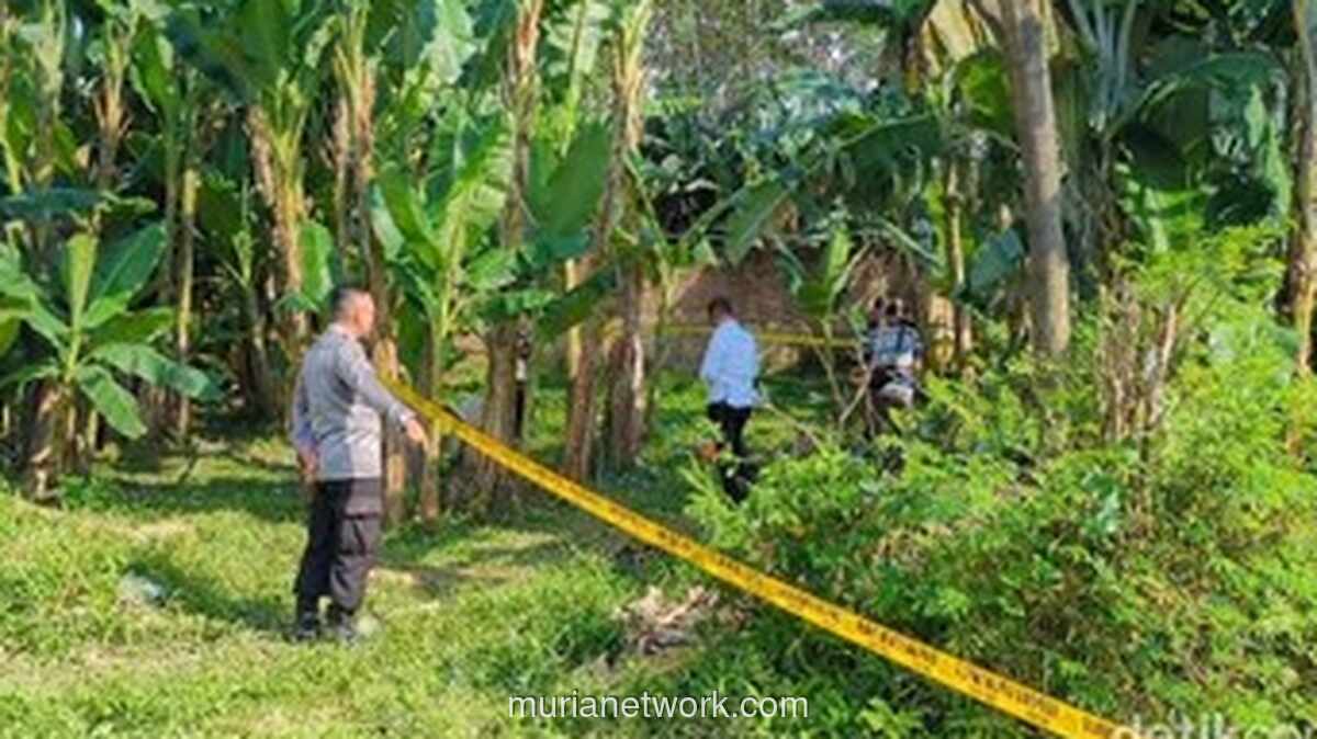 Ledakan Petasan di Pekalongan Tewaskan Dua Remaja, Satu Korban Tak Bersalah Turut Terluka