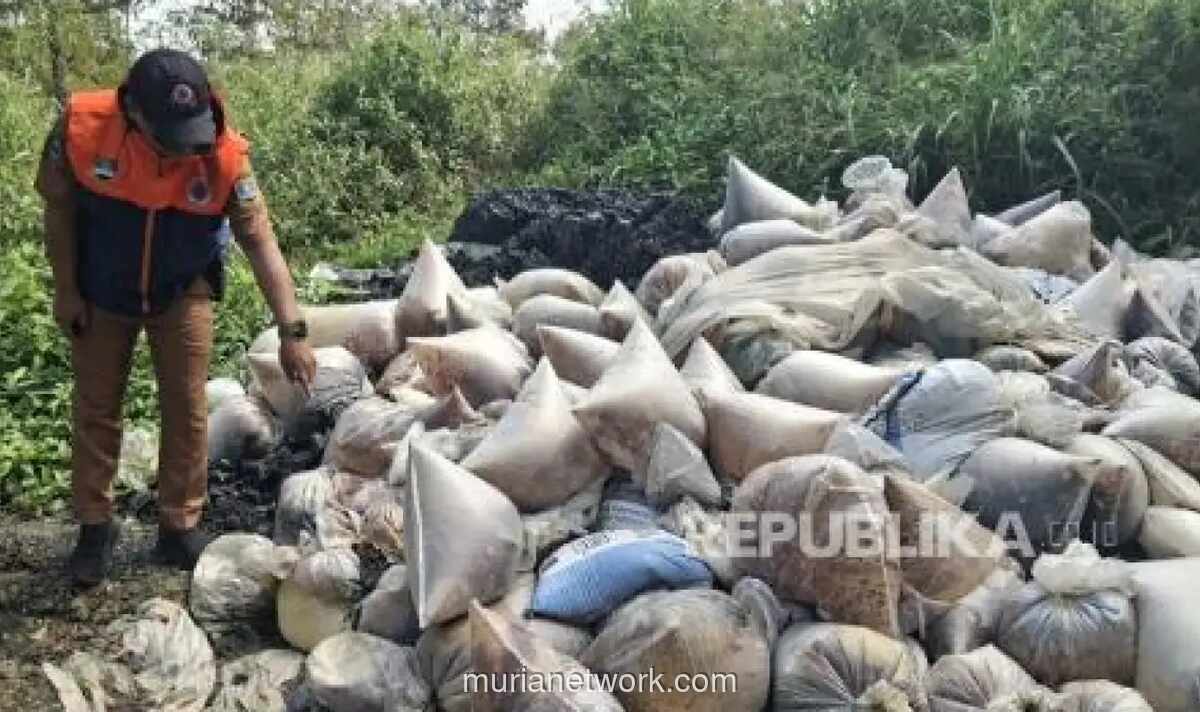 Limbah Batu Bara Dibuang Sembarangan di Perkebunan Walini, Warga Resah