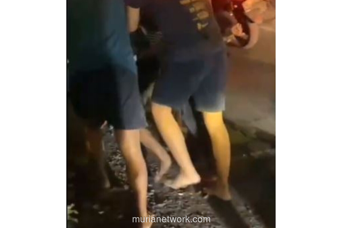 Warga Amuk Pencuri Perkutut di Pasuruan, Pelaku Diduga ODGJ