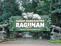 Libur Lebaran 2026, Ragunan Catat 160 Ribu Pengunjung dalam Tiga Hari