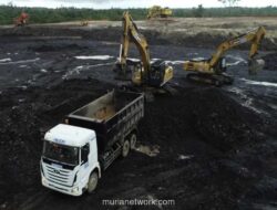 Hillcon Masuk Papan Pemantauan Khusus Tahap II, Saham Anjlok 77% dalam Sebulan