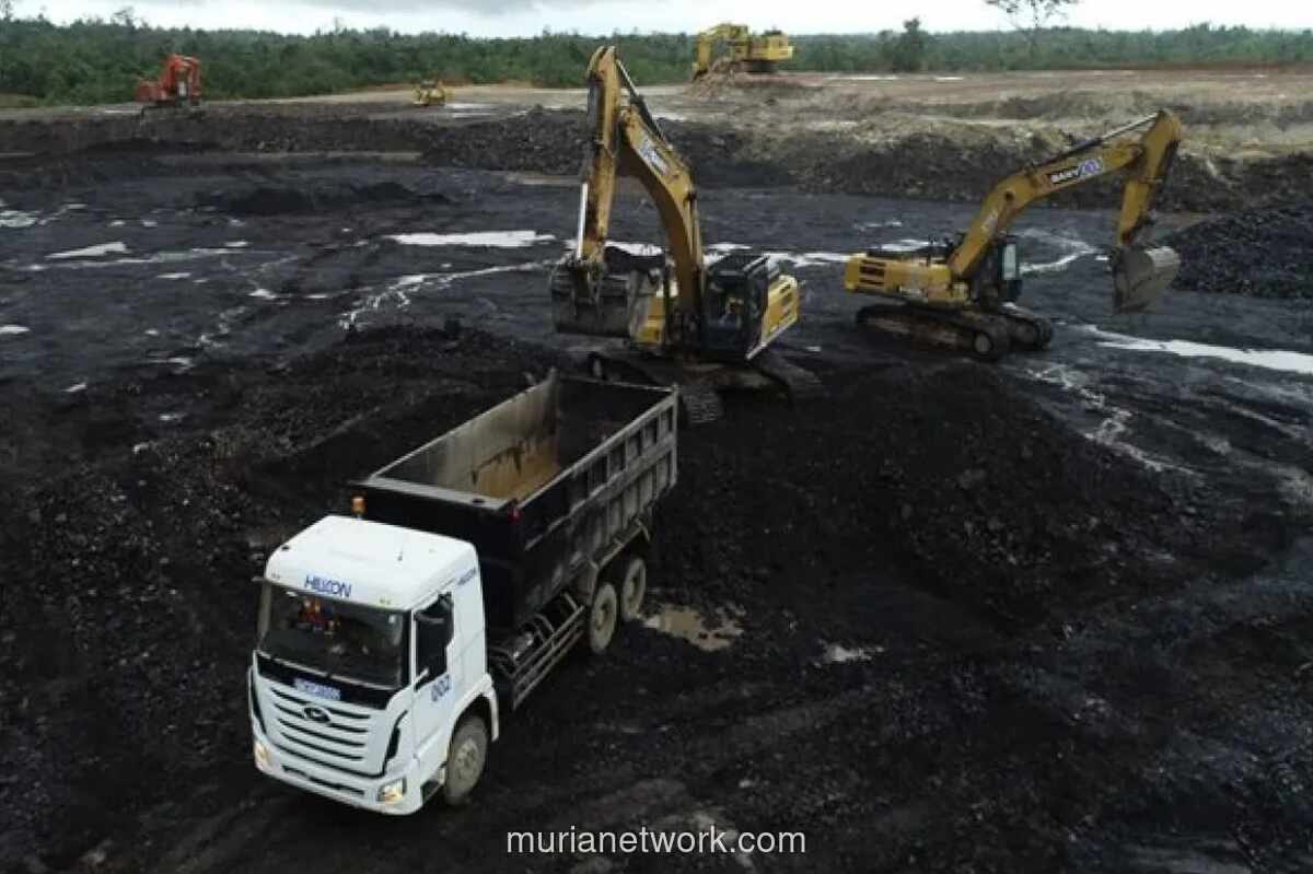 Hillcon Masuk Papan Pemantauan Khusus Tahap II, Saham Anjlok 77% dalam Sebulan