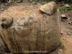 Megalit Berusia 1.000 Tahun di TNLL Poso Diduga Dirusak Penambang Ilegal