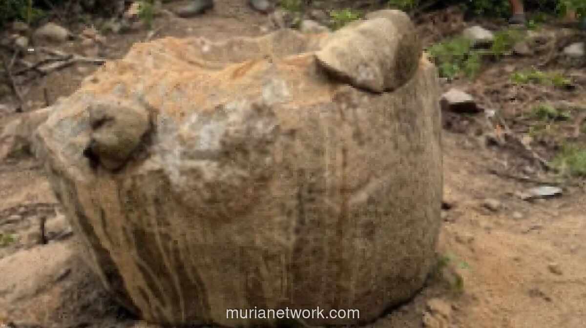 Megalit Berusia 1.000 Tahun di TNLL Poso Diduga Dirusak Penambang Ilegal