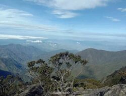 Mengenal Lima Gunung Tertinggi di Sulawesi Selatan, dari Latimojong hingga Bawakaraeng