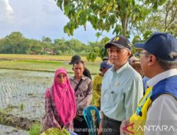 Menteri PU Perintahkan Percepatan Saluran Tersier untuk Optimalkan Jaringan Irigasi Air Tanah di Boyolali