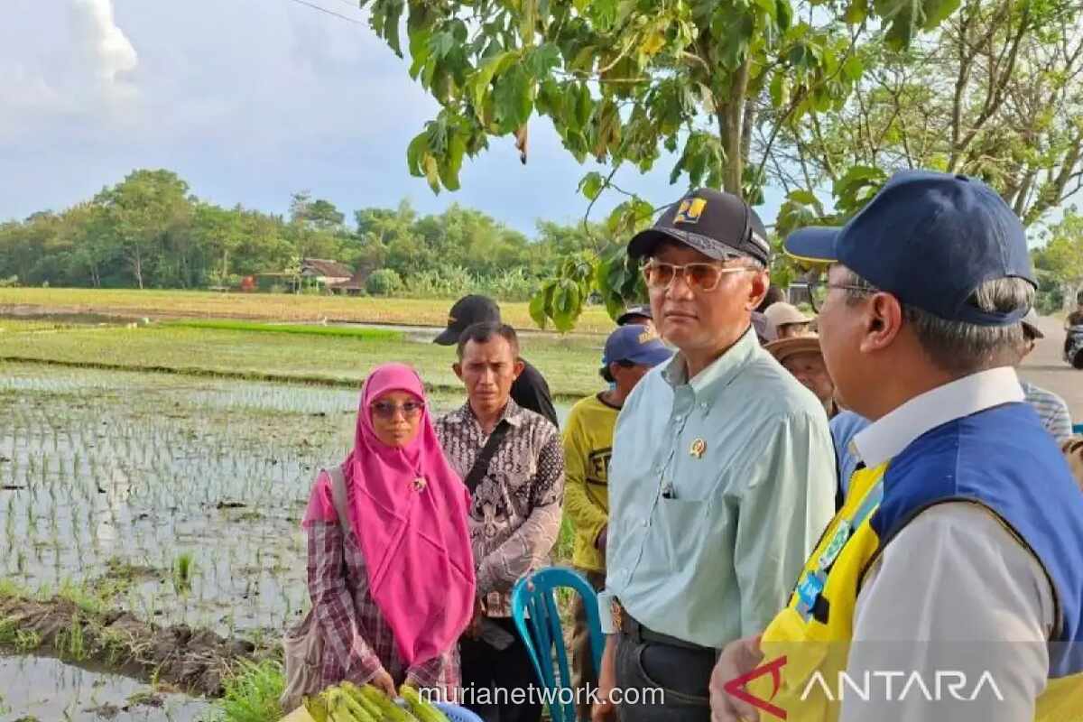Menteri PU Perintahkan Percepatan Saluran Tersier untuk Optimalkan Jaringan Irigasi Air Tanah di Boyolali