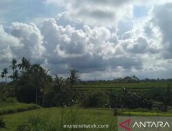 BMKG: Sebagian Besar Wilayah Indonesia Berawan, Hujan Guyur Jakarta hingga Surabaya