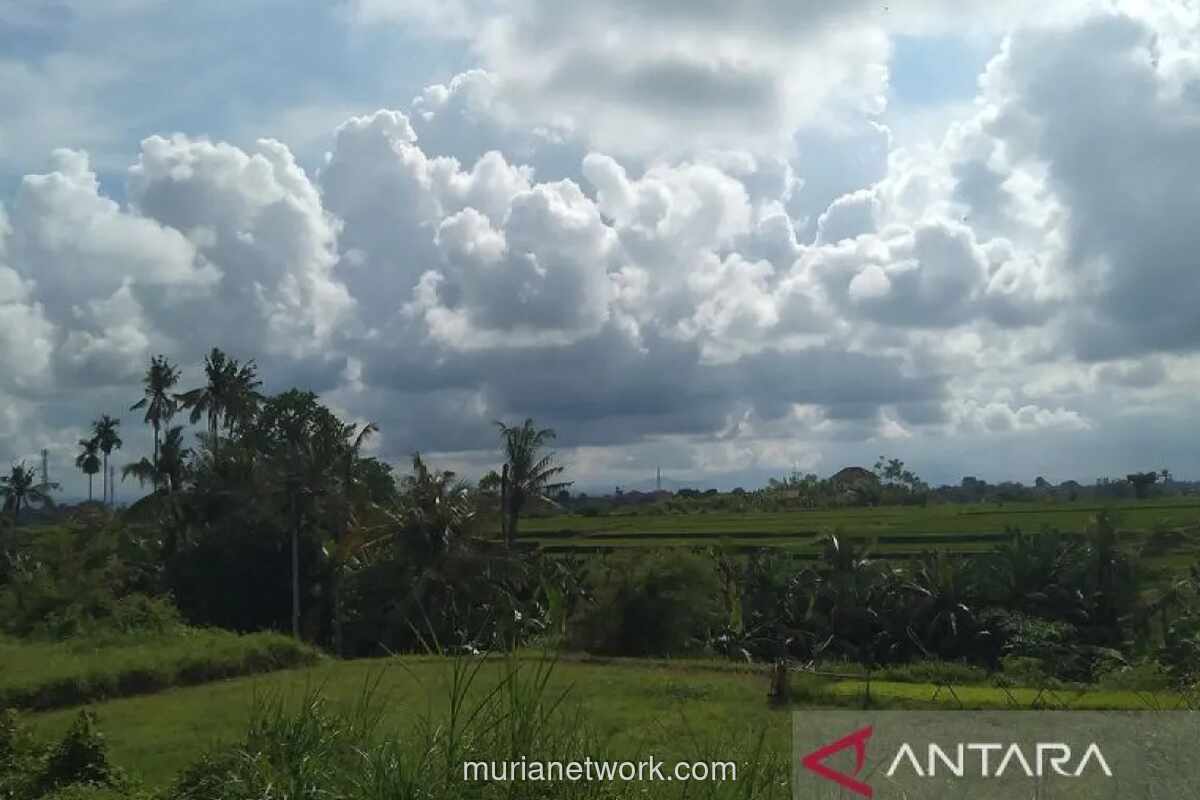 BMKG: Sebagian Besar Wilayah Indonesia Berawan, Hujan Guyur Jakarta hingga Surabaya