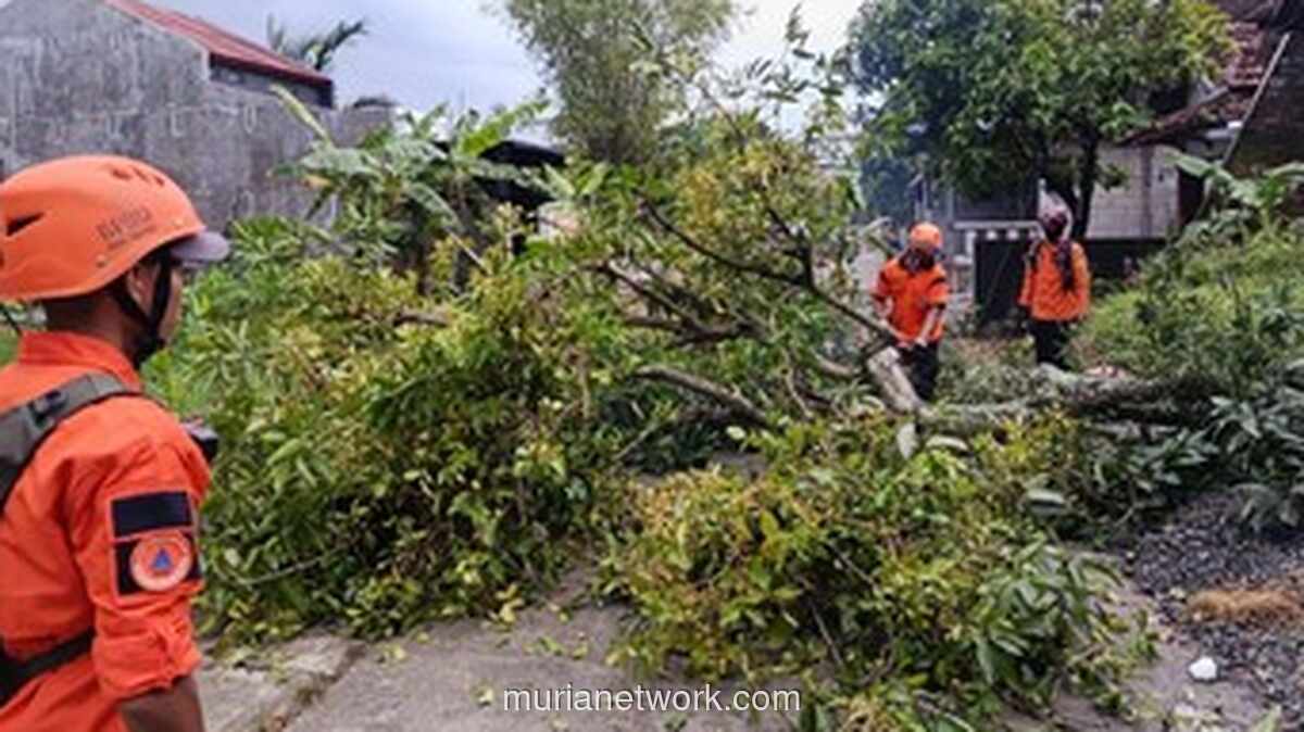 Angin Puting Beliung Terjang Kudus, 221 Rumah Rusak di Empat Desa