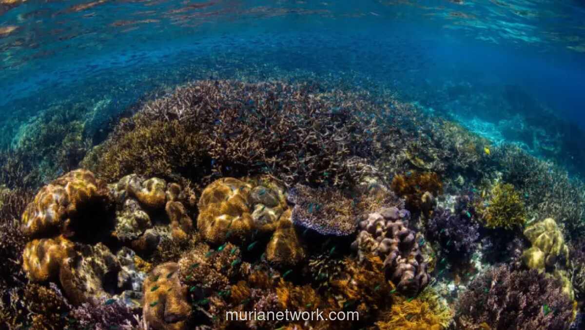 Pemerintah Luncurkan I-Bio Fund untuk Pendanaan Keanekaragaman Hayati