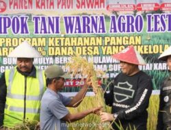 Mentan: Stok Beras Nasional Aman untuk 324 Hari ke Depan