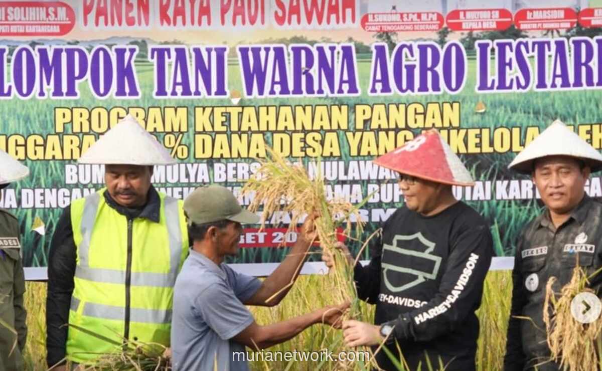 Mentan: Stok Beras Nasional Aman untuk 324 Hari ke Depan