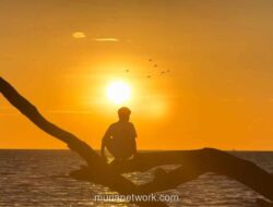 Pantai Kuri Caddi di Maros: Pesona Tersembunyi yang Masih Asri dan Sunyi