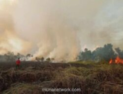 Damkar Tanjung Uban Peringatkan Bahaya Karhutla di Musim Angin Kencang